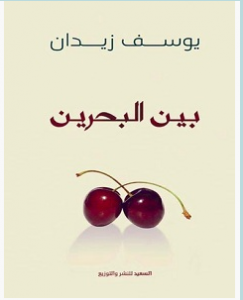 تحميل كتاب بين البحرين pdf – يوسف زيدان