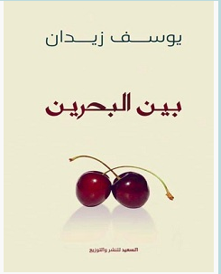 تحميل كتاب بين البحرين pdf – يوسف زيدان