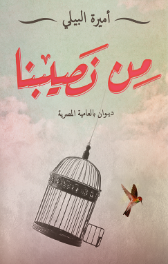 تحميل ديوان من نصيبنا pdf أميرة البيلي